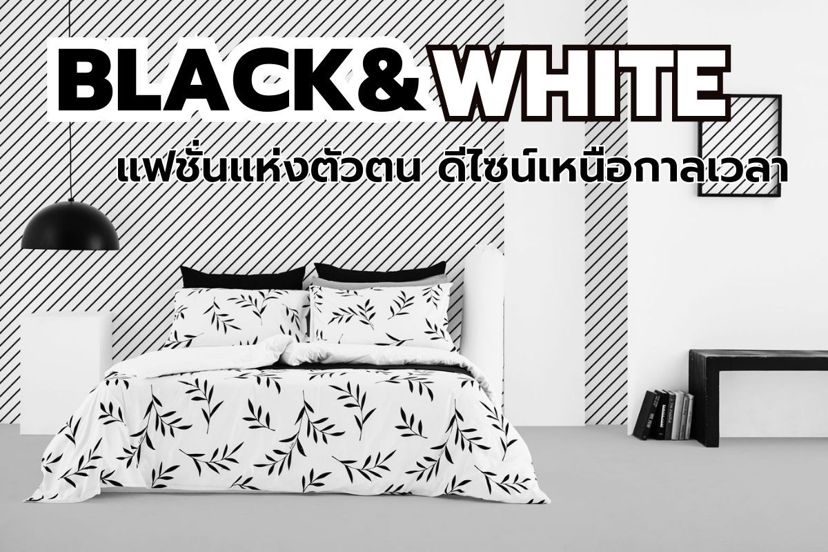 BLACK & WHITE แฟชั่นแห่งตัวตน ดีไซน์เหนือกาลเวลา