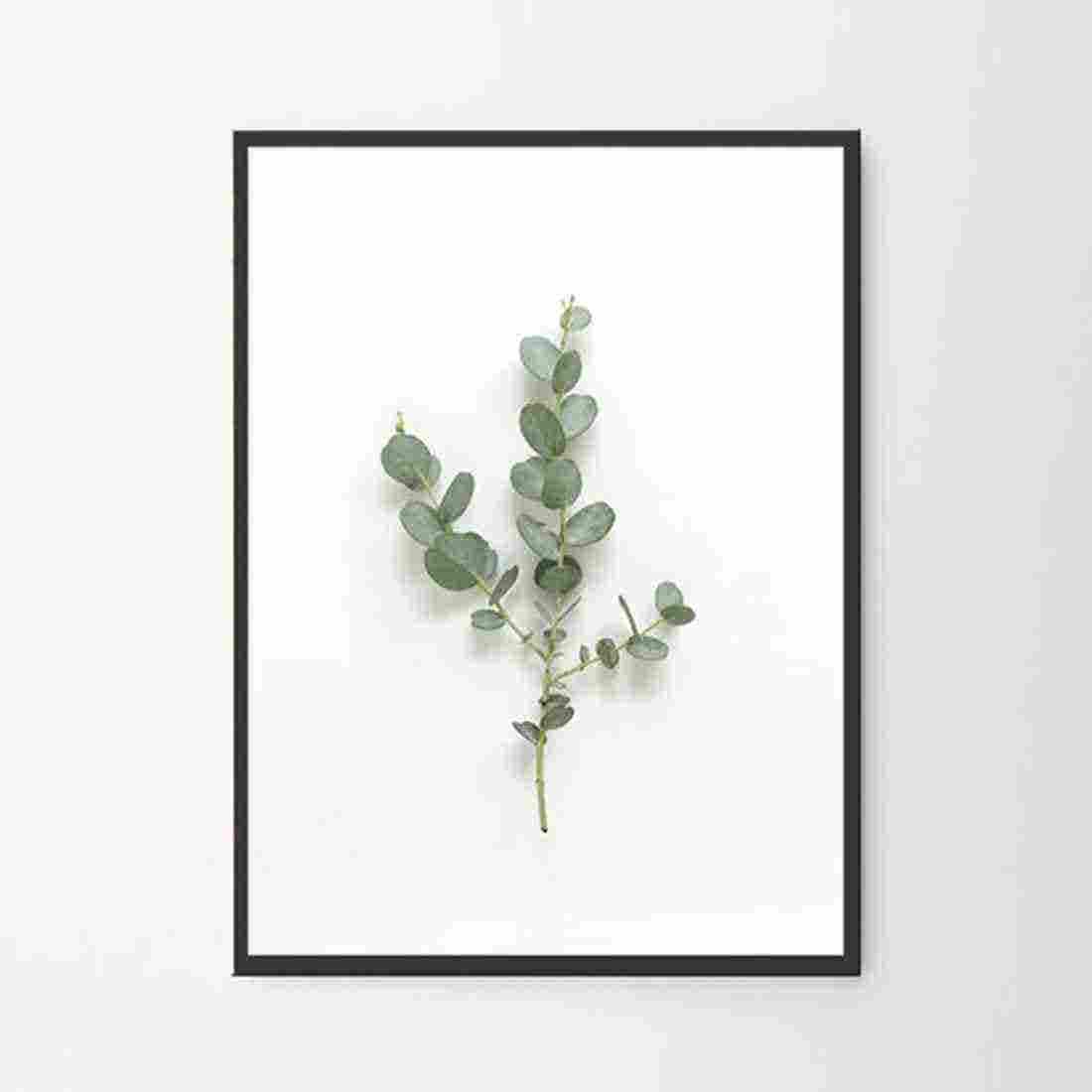 รูปพร้อมกรอบ Doseart รุ่น Eucalyptus Branch 20x25 cm-01