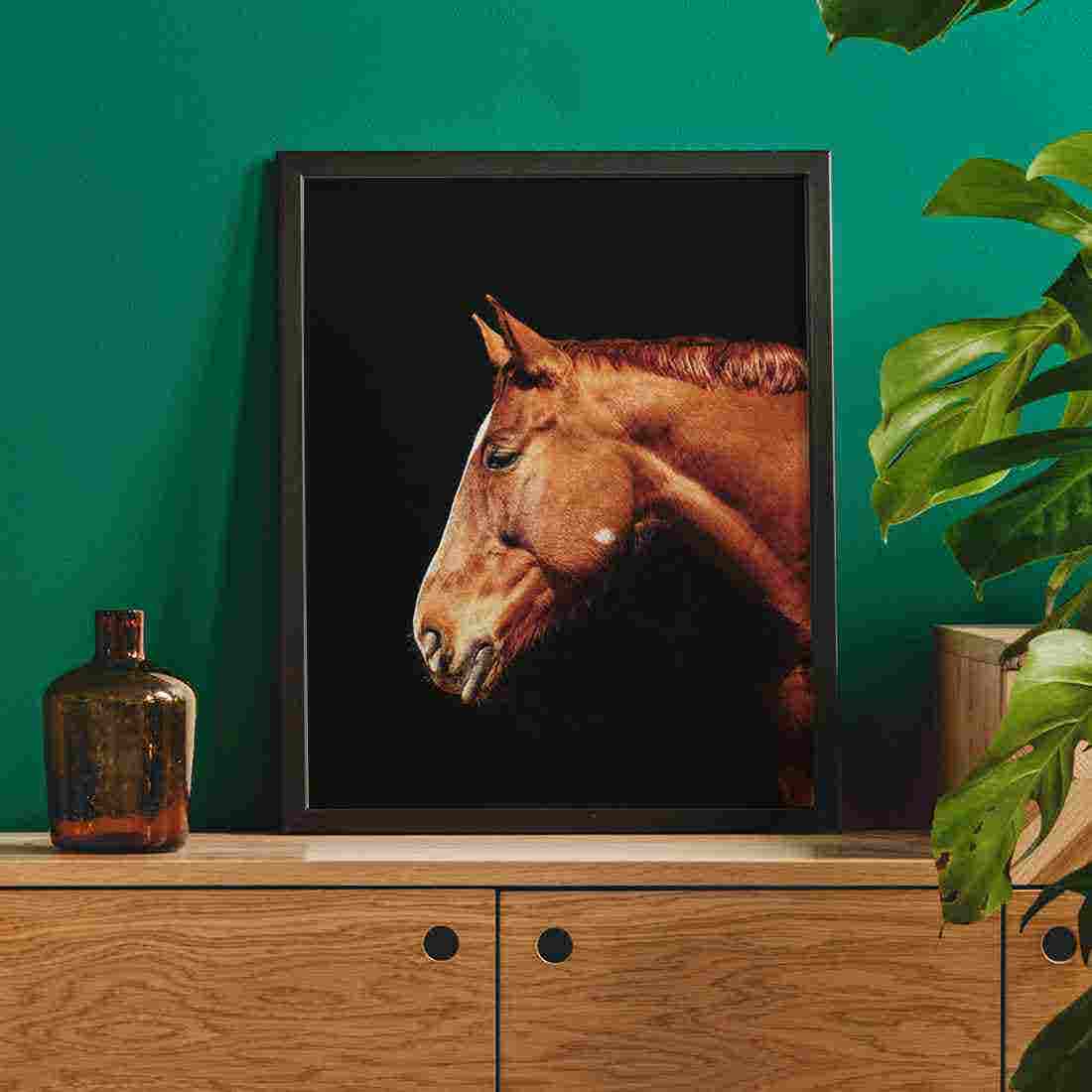 รูปพร้อมกรอบ Doseart รุ่น Horse 20x25 cm-00