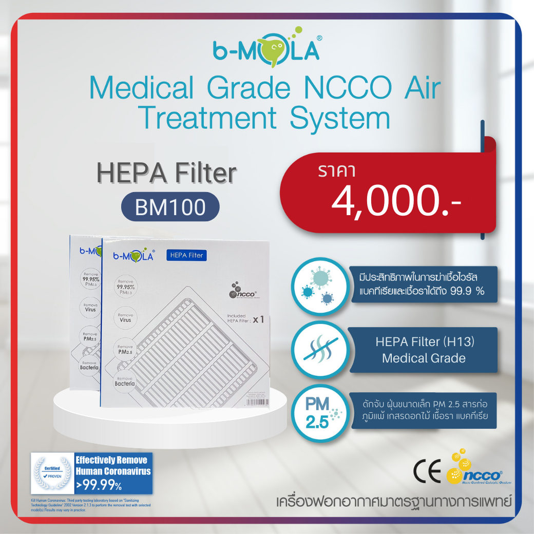 b-MOLA แผ่นกรอง HEPA Fillter รุ่น BM100 (1 set มี 2 แผ่น) 03