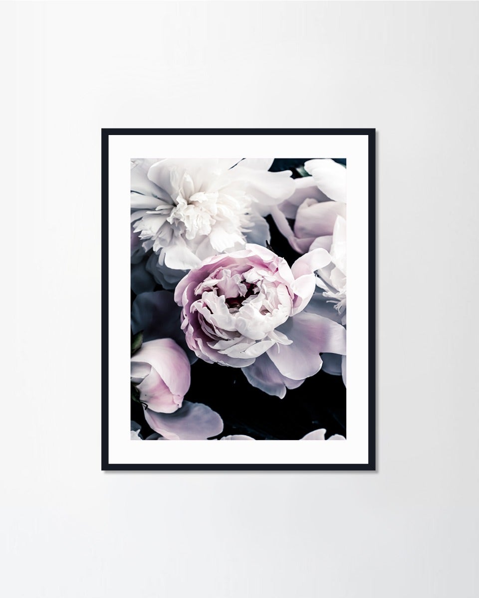 Pennello ภาพแขวน#028 Peony Flowers M