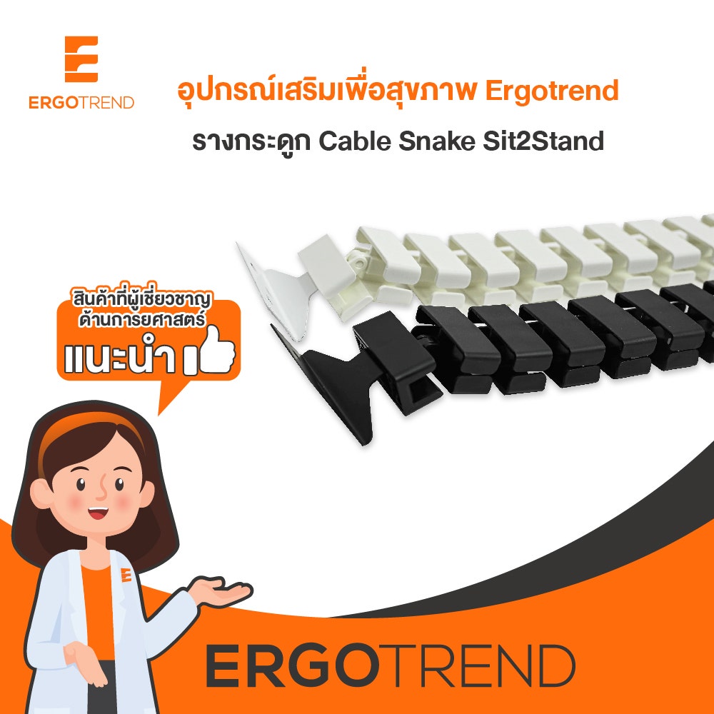 Ergotrend รางกระดูก Cable Snake Sit2Stand black 07