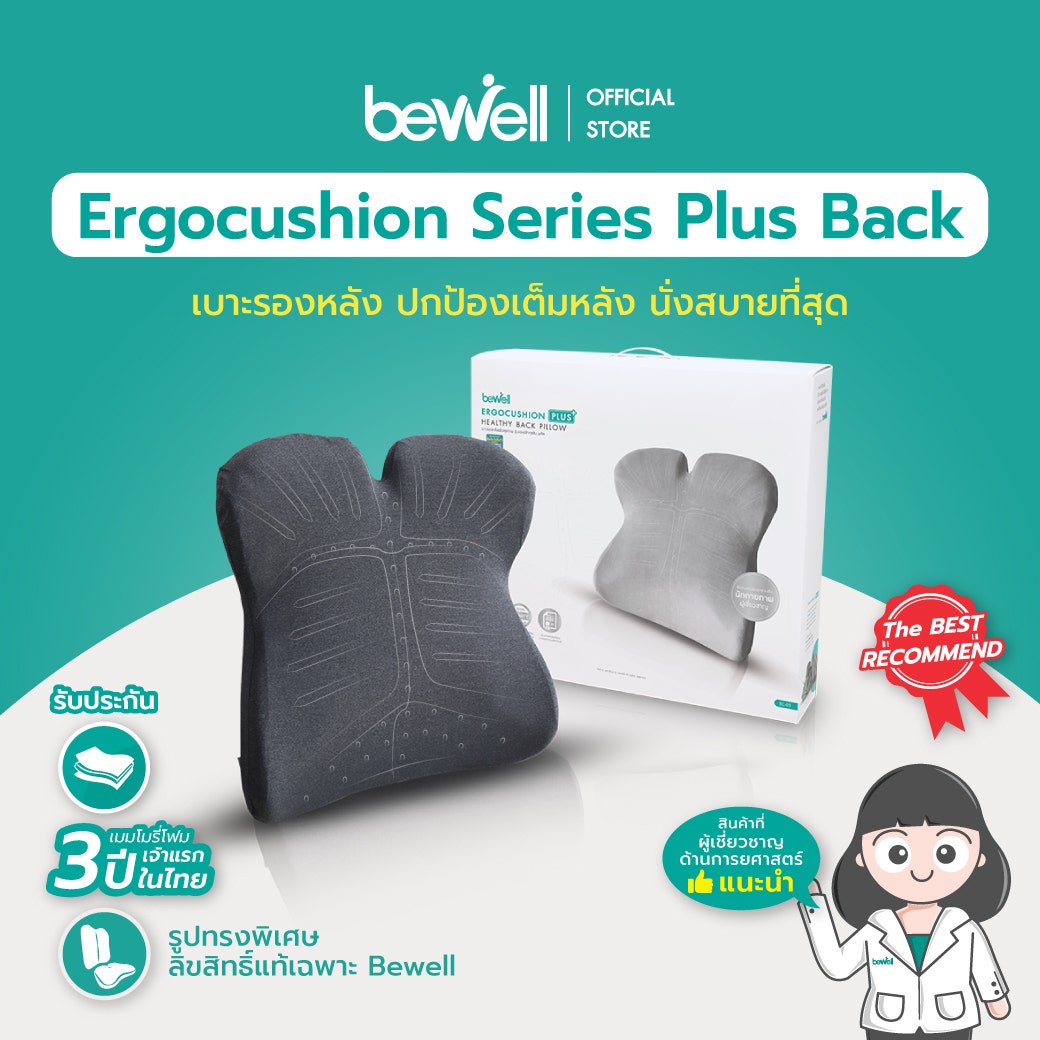 เบาะรองหลังเมมโมรี่โฟม รุ่น Ergocushion Plus (EC03)-1