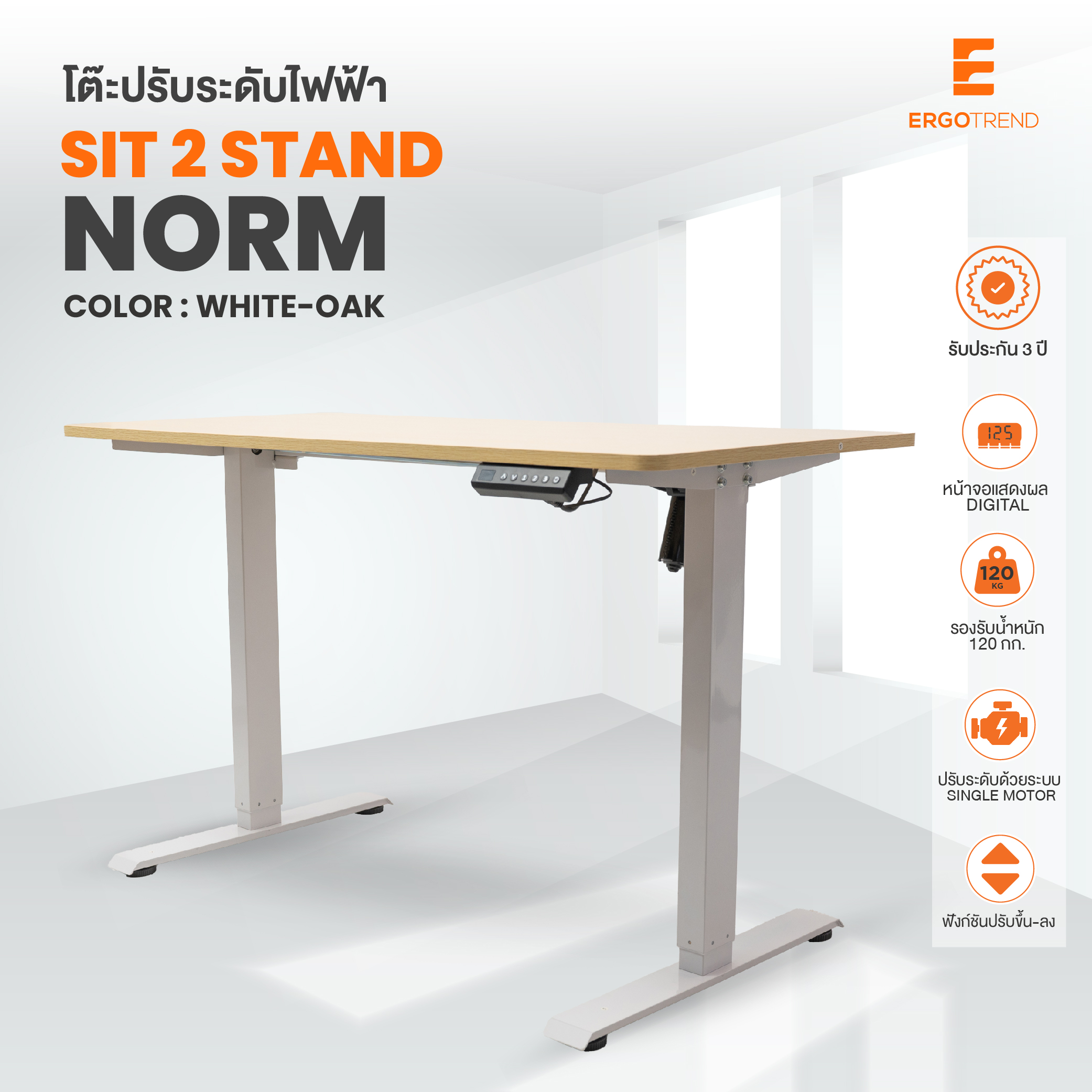 Ergotrend โต๊ะไฟฟ้า ยืน-นั่งทำงาน รุ่น Sit 2 Stand Norm White Oak 06