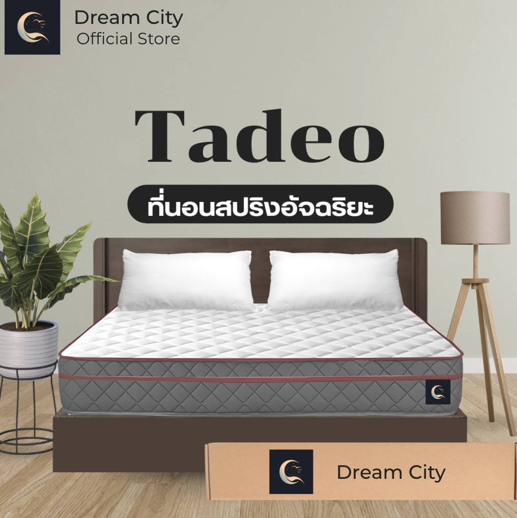 Dreamcity [แพ็คใส่กล่อง] ที่นอนสปริง นุ่มเด้ง โอบอุ้มสรีระ รับน้ำหนักได้ดี รุ่น Tadeo 8 นิ้ว ขนาด 6 ฟุต